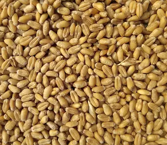 Agricultural Commodities